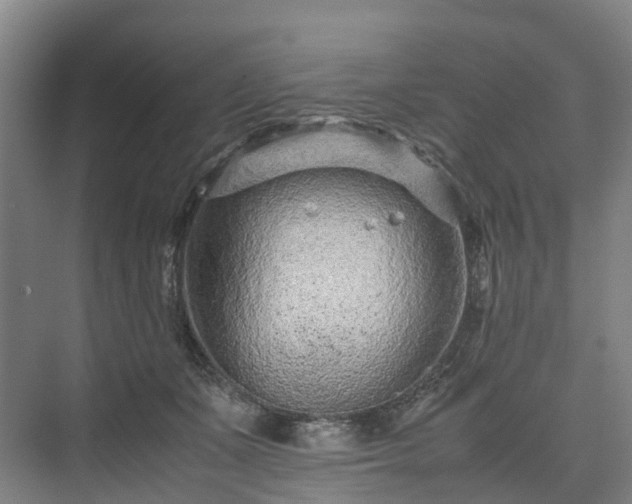 X0000075360511200609151640