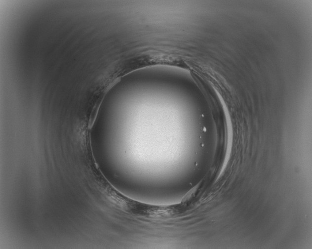 X0000075360513200609151640