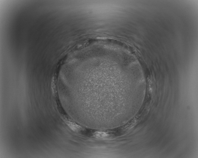 X0000075360519200609151640