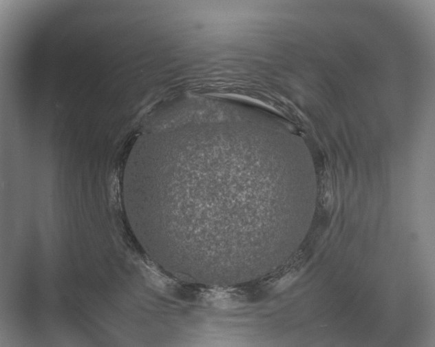 X0000075360523200609151640