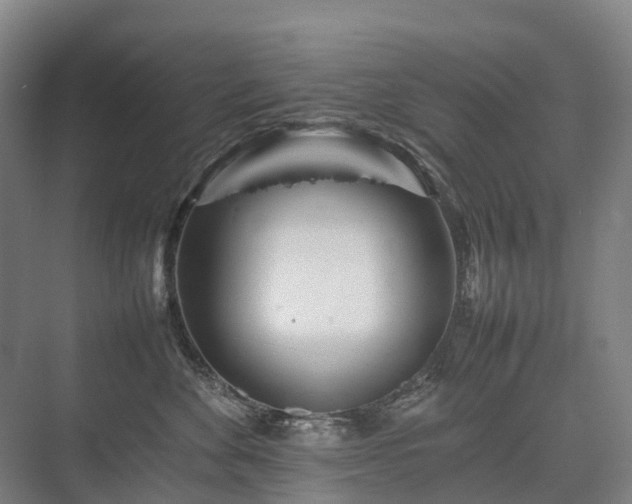 X0000075360524200609151640