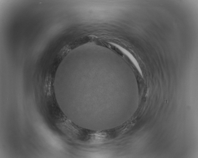 X0000075360525200609151640