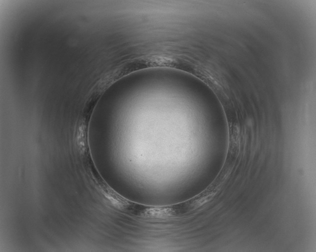 X0000075360526200609151640