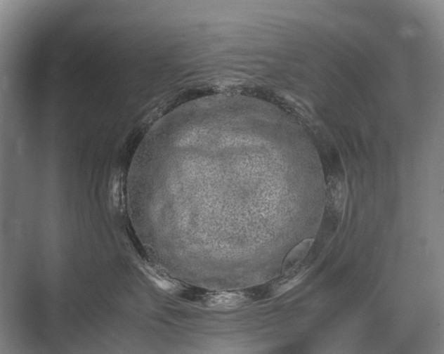 X0000075360527200609151640