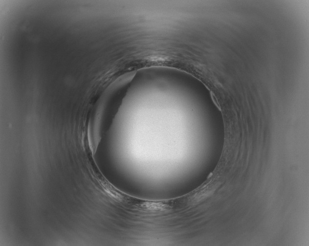 X0000075360528200609151640