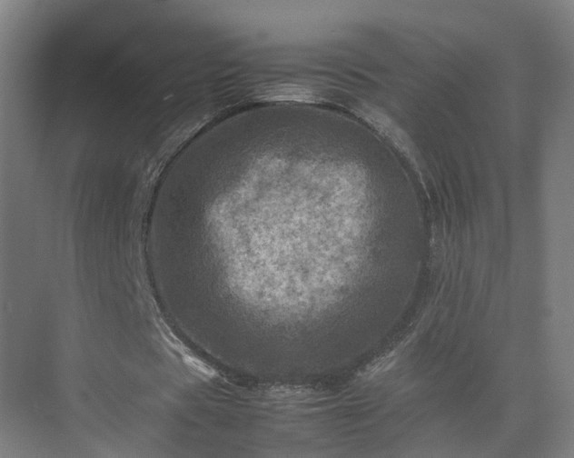 X0000075360529200609151639