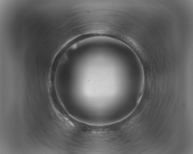 X0000075360532200609151639