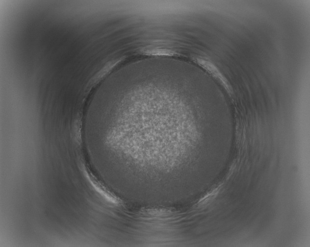 X0000075360533200609151639