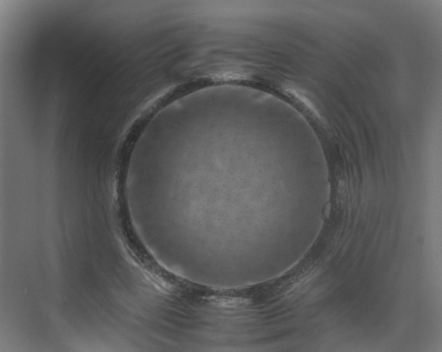 X0000075360539200609151639