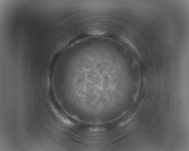 X0000075360541200609151639