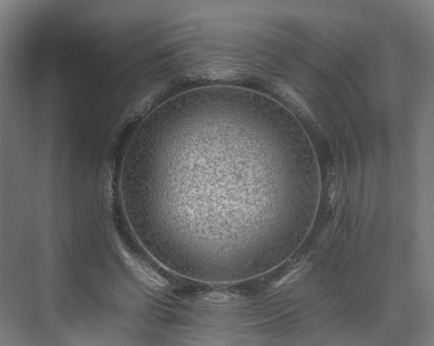 X0000075360542200609151639