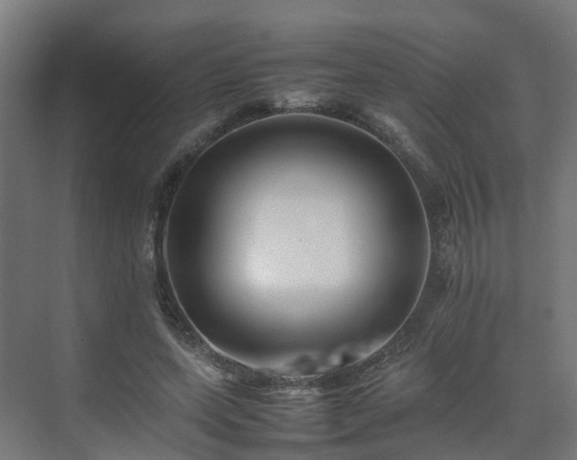 X0000075360543200609151639