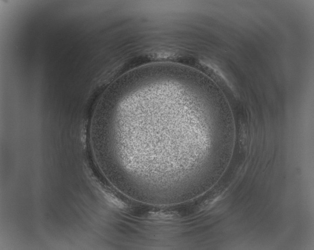 X0000075360545200609151639