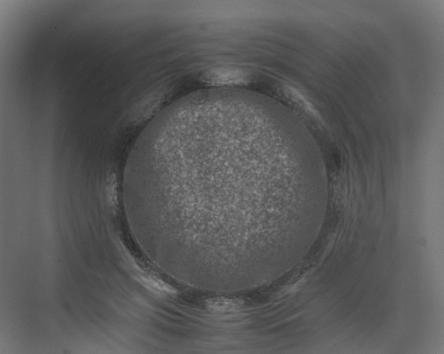 X0000075360549200609151639