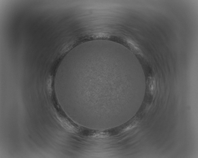 X0000075360550200609151639