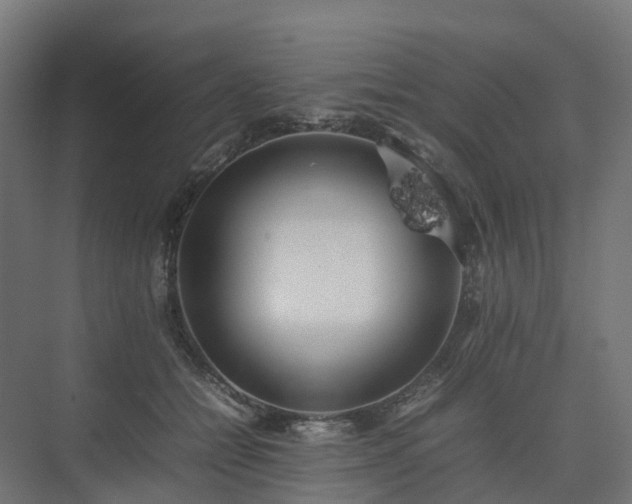 X0000075360558200609151640