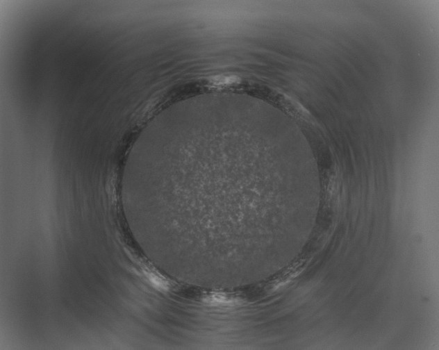 X0000075360565200609151640