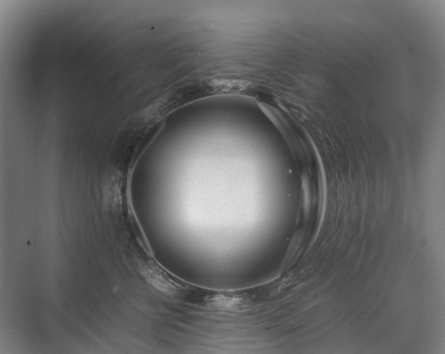 X0000075360570200609151640