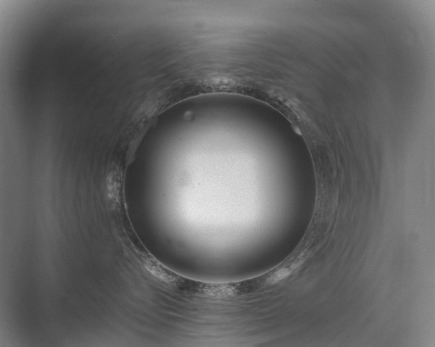 X0000075360576200609151640