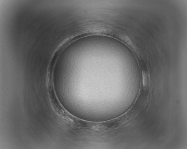 X0000075360579200609151639