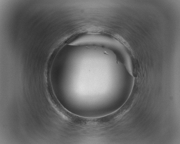 X0000075360581200609151639