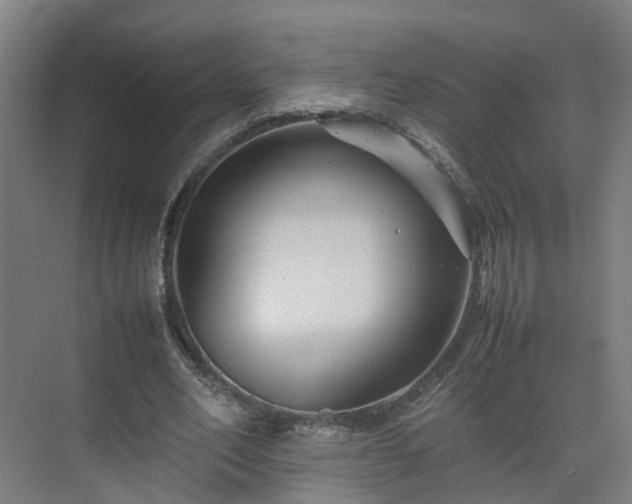 X0000075360582200609151639