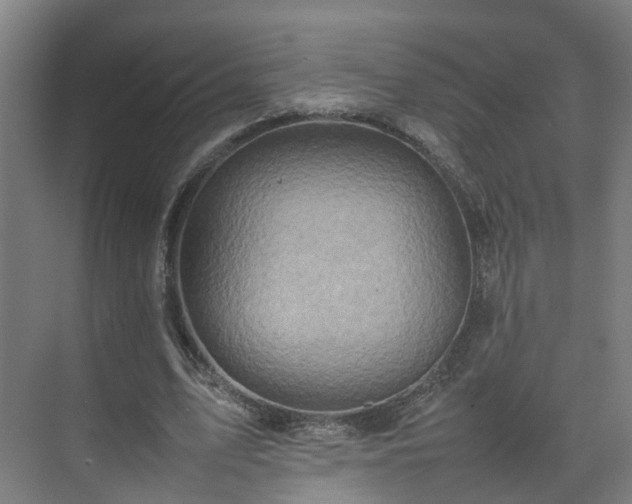 X0000075360583200609151639