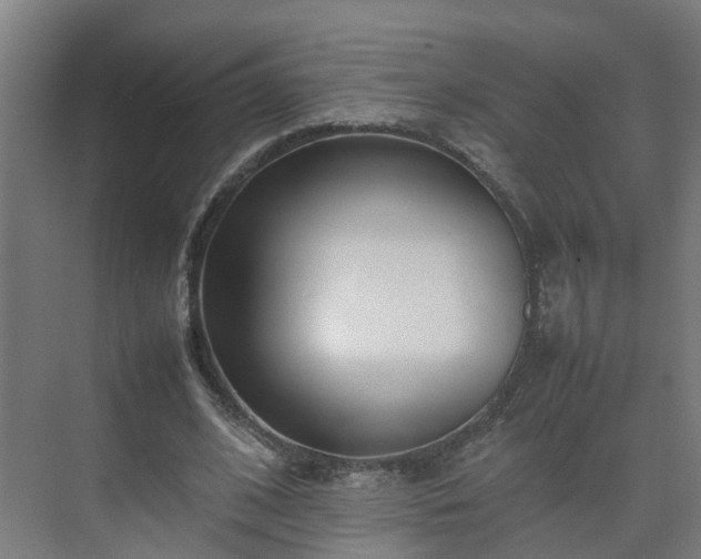 X0000075360584200609151639