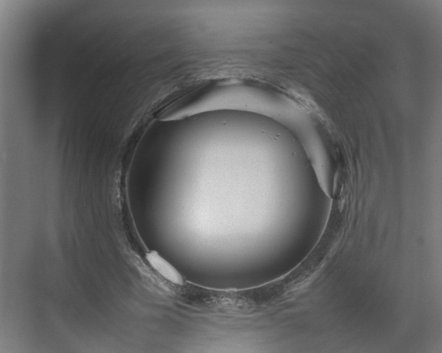 X0000075360585200609151639