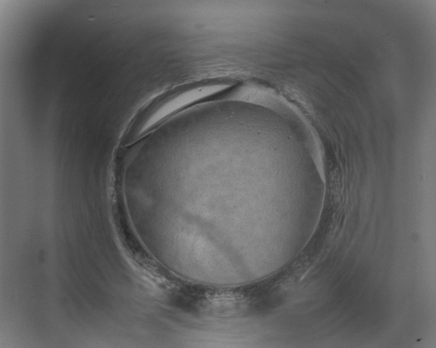 X0000075360587200609151639