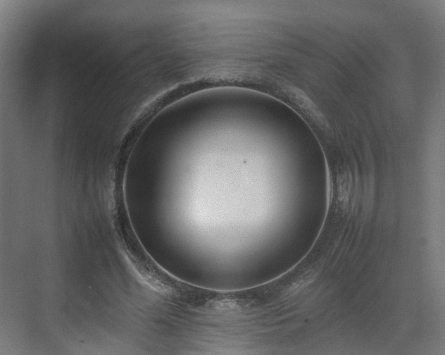 X0000075360588200609151639