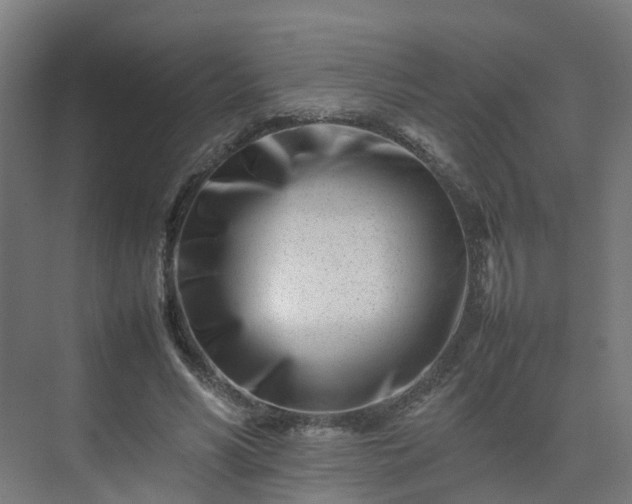 X0000075360590200609151639