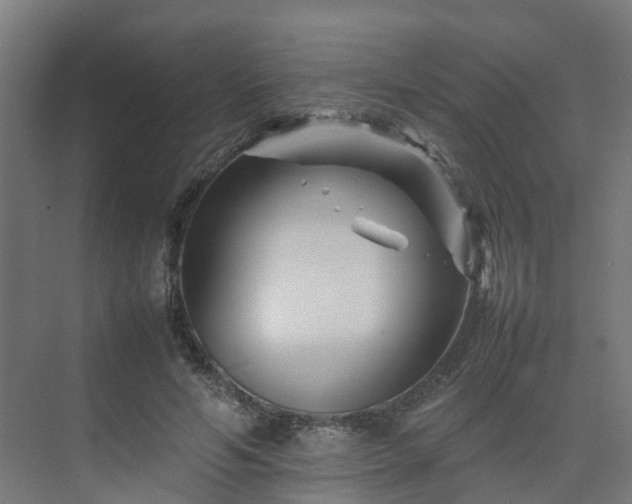 X0000075360594200609151639