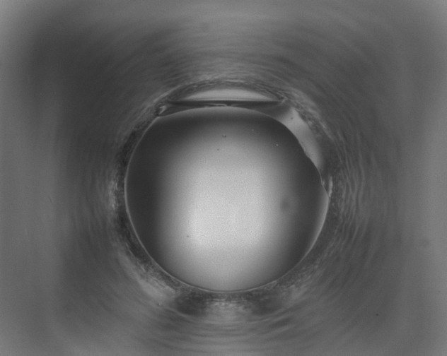 X0000075360596200609151639