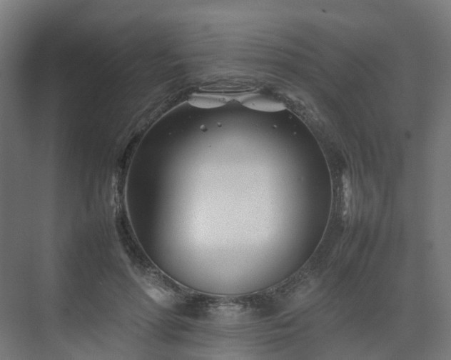 X0000075360598200609151639