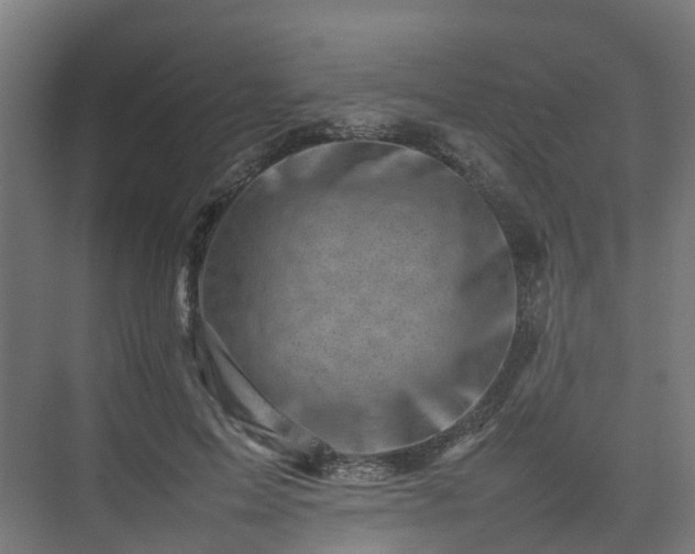 X0000075360599200609151639