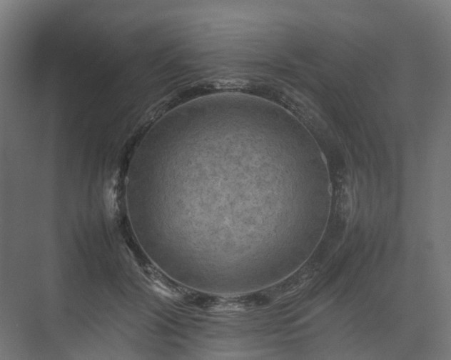 X0000075360604200609151639