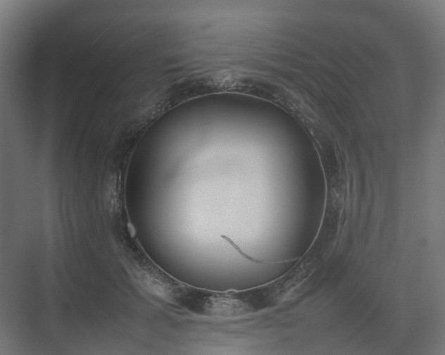 X0000075360605200609151639