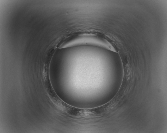 X0000075360607200609151639