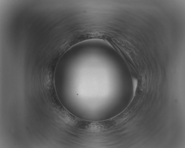 X0000075360608200609151639