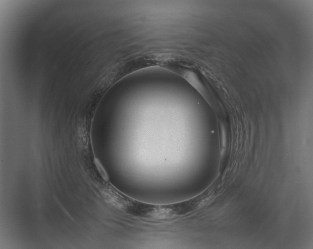 X0000075360609200609151639