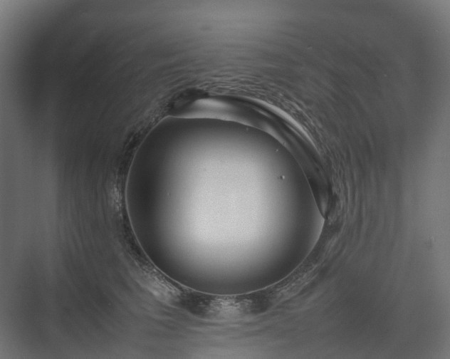 X0000075360613200609151638