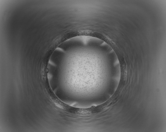 X0000075360619200609151638