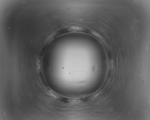 X0000075360621200609151638