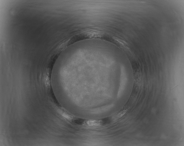 X0000075360622200609151638