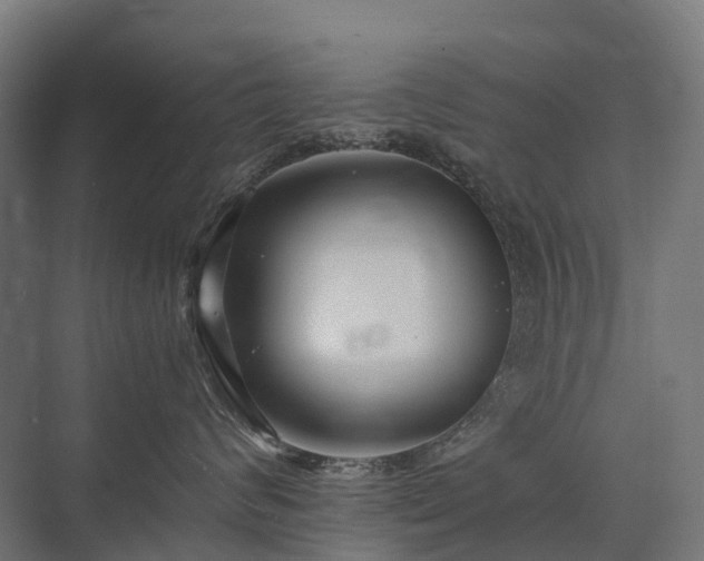 X0000075360624200609151638