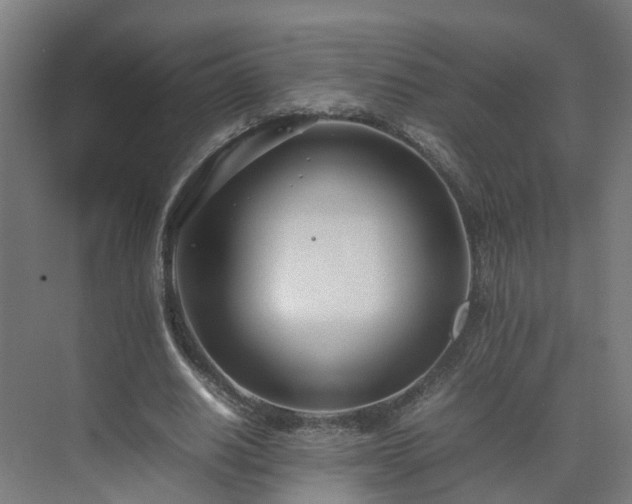 X0000075360630200609151638