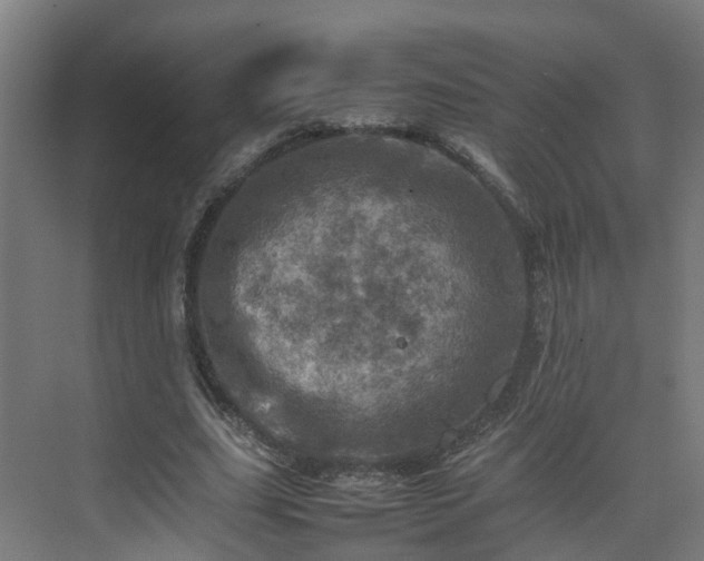 X0000075360631200609151638