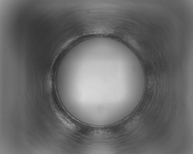 X0000075360632200609151638