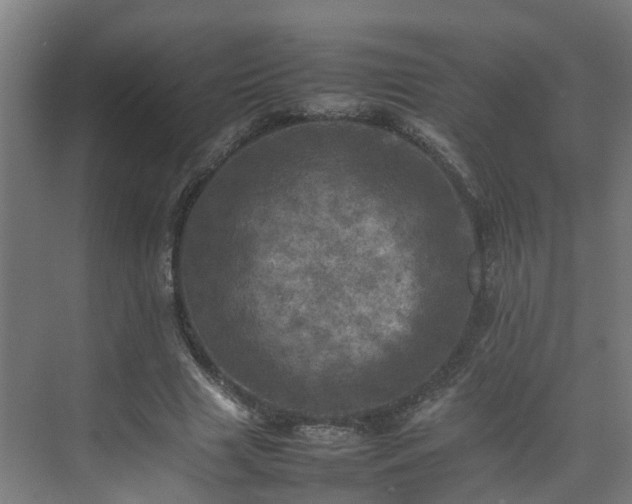 X0000075360633200609151638